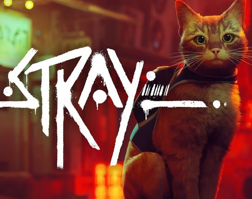 Stray