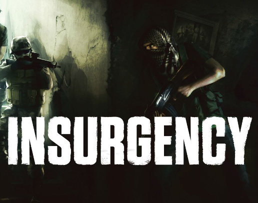 Insurgency