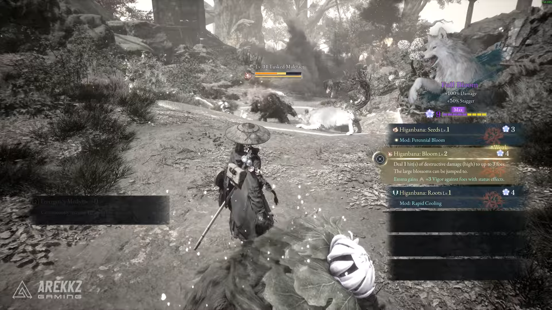 Beast of Reincarnation